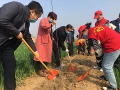 平顶山市农业农村局开展2020年春季义务植树活动