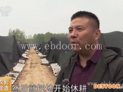 羊肚菌-羊肚菌销路-鸿福食用菌(推荐商家)