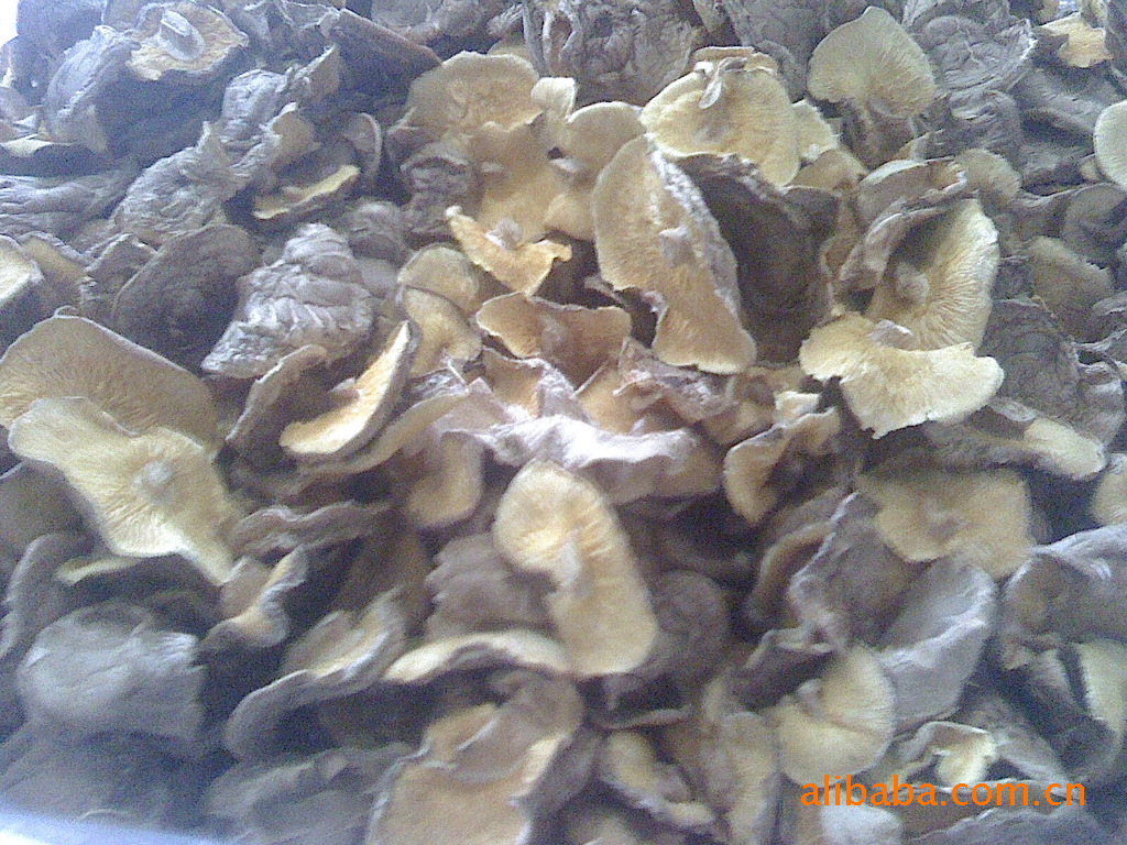 产地批发 新货 特级香菇/花菇/香菇干/冬菇 一手