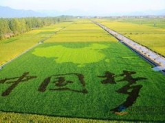 加快推进农业“转方式、调结构” 提高农业发展质量和效益