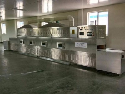 开心果等干果类微波杀菌设备