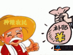 玉米收储制度改革带来机遇和挑战