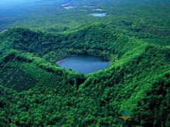 林业局印发《林业科技扶贫行动方案》 明确6项重点任务