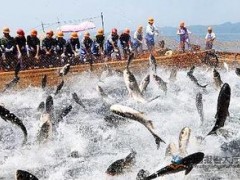 农业部：加快推进渔业转方式调结构