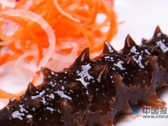 11下旬辽宁海参价格略涨 山东地区基本持平