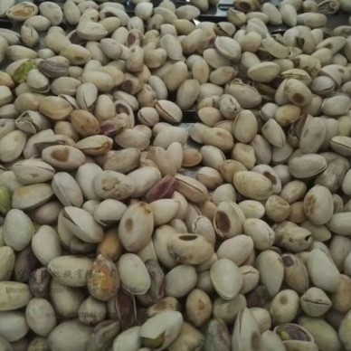 辽宁俏牌TFKXG-400开心果脱壳机开心果剥壳机