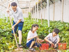 特征乡村游 助力乡村复兴