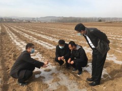 平凉市农技站检查指导华亭平凉市春耕生产及农业技术推广工作