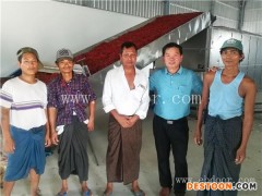 大型辣椒干燥加工设备多少钱-驻马店辣椒干燥-国信机械(查看)