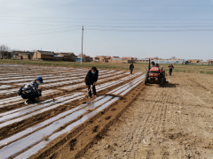 平凉市农技站开展肥料利用率及玉米秸秆还田试验