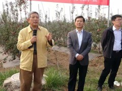 青岛农业大学“福丽”苹果新种类现场观摩会在诸城举行