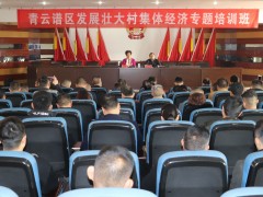 青云谱区举行开展壮大村个人经济专题培训班