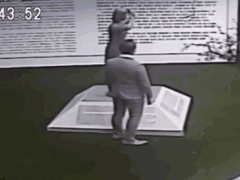 脚踹台湾慰安妇铜像日本人辩称脚麻 这么不要脸？