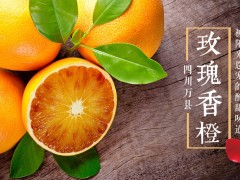 玫瑰香橙 - 万州特产