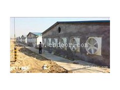 厂房通风降温-换气扇排风扇(在线咨询)-通风降温