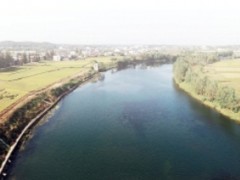 用“绿色”绘就乡村振兴的最美底色