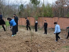 西乡：县农业农村局展开义务植树活动