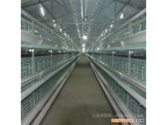 鸡笼,养鸡设备,畜牧业设备- 河南中州牧业养殖设备有限公司