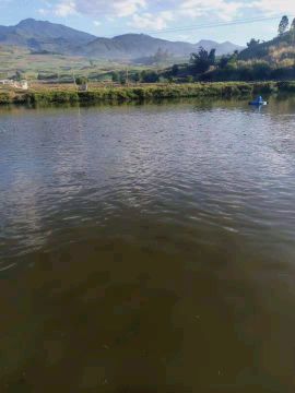 [供]山泉自流水供养，鱼肥味美。