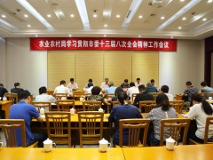 农业乡村局四举措仔细贯彻落实市委十三届八次全会肉体