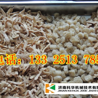 【100%免费培训】衡水全自动牛排豆皮机器厂家|多功能豆皮机器|小型豆皮机器多|豆皮机器价格