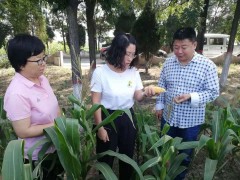 应对干旱，上党区农业人外行动