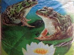 供应特种养殖动物 霖荫牛蛙牛蛙饲料 六号料