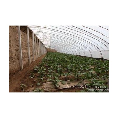 专业建设花卉温室大棚-山东花卉温室大棚哪家有保障