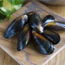 浙江省嵊泗县枸杞镇(贻贝)