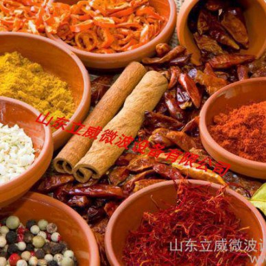 山东立威专业腰果微波杀虫杀菌机