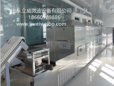 山东立威专业腰果微波烘干杀菌杀虫熟化设备