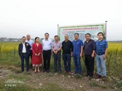 谷城：绿色防控确保粮食歉收