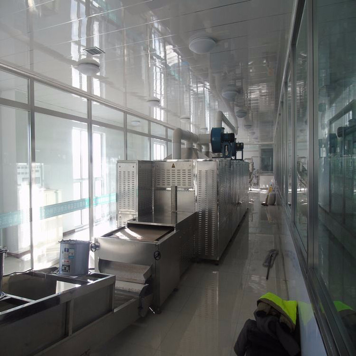 山东立威专业生产腰果微波烘干杀菌熟化设备