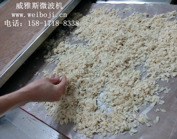 威雅斯VYS-30HM微波腰果烘干设备