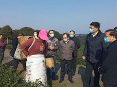 省农业农村厅党组成员、副厅长肖小余到名山区反省春茶消费情况