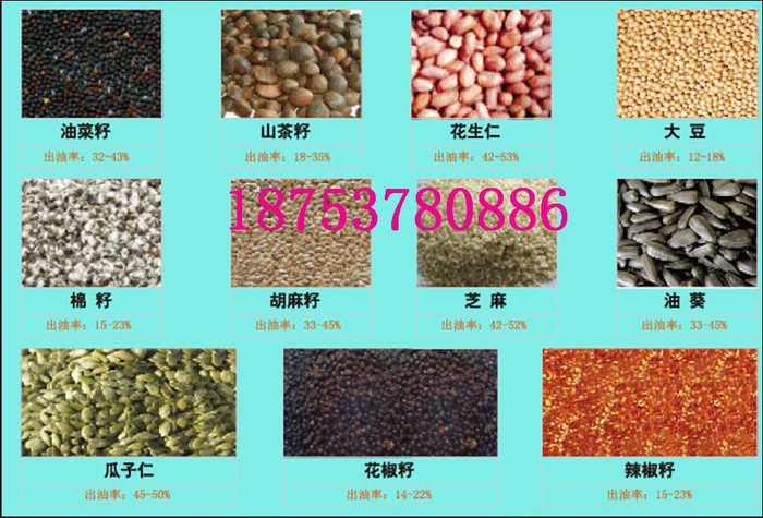 榨油机设备花生茶籽榨油机 榨油机榨油机成套设备到圣之源选