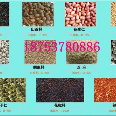 榨油机设备花生茶籽榨油机 榨油机榨油机成套设备到圣之源选