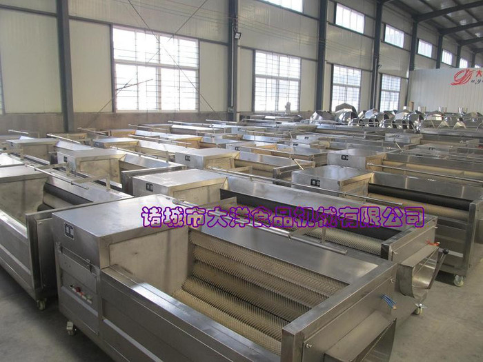 连续式不锈钢型莲藕清洗设备