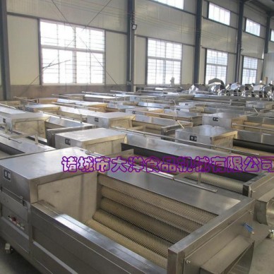 连续式不锈钢型莲藕清洗设备