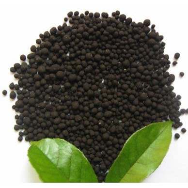 南箭 厂家长期现货提供 黑加仑提取物7228-78-6 植物提取物 量多/质优/价廉