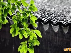 暴雨助攻江南入“霉”，苗木大“烤”就要来了