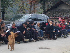 秭归 | 技术效劳送上门 茶产业开展劲头高