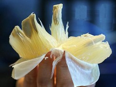 长坝沙田柚 - 韶关特产