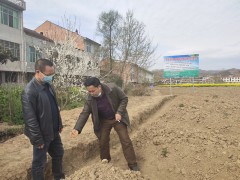安康：晋中市农机农经站调研和指点汉阴县魔芋产业树立