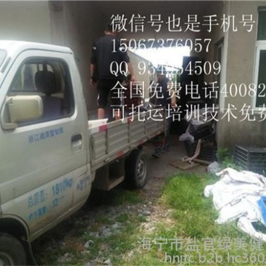 黑龙江农村养殖 草食性动物规格品种