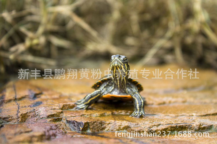 1567507138_1464446629