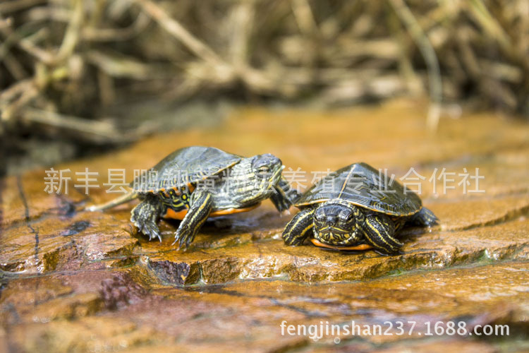 1567507134_1464446629