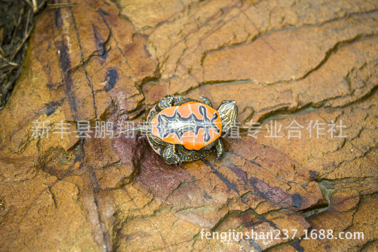 1567507135_1464446629