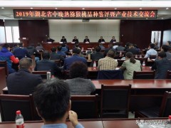 谷城：万丰园“金魁”猕猴桃抱得金奖归！