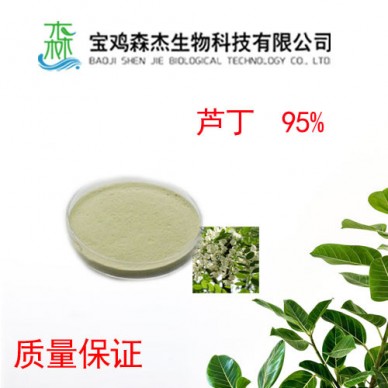 森杰生物 长期生产供应  槐米提取物  95%  植物提取物